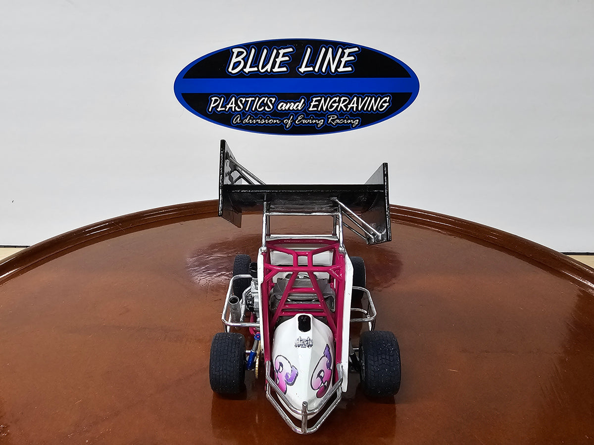 Custom 600cc Winged Micro Sprint Model